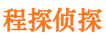 集安调查公司